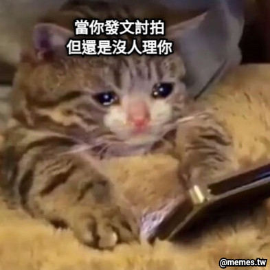 當你發文討拍 但還是沒人理你