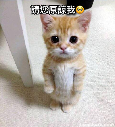 請您原諒我🥺