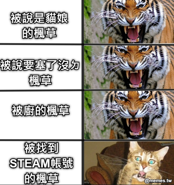 被說是貓娘的楓草 被說要塞了沒ㄉ楓草 被廚的楓草 被找到 STEAM帳號的楓草