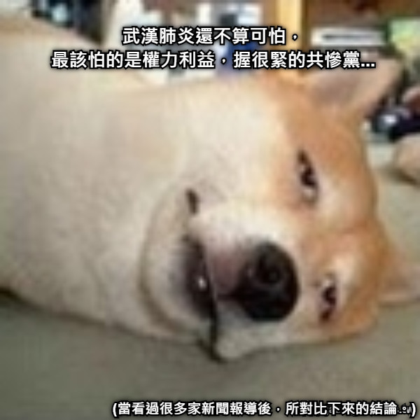 武漢肺炎還不算可怕， 最該怕的是權力利益，握很緊的共慘黨... (當看過很多家新聞報導後，所對比下來的結論。)