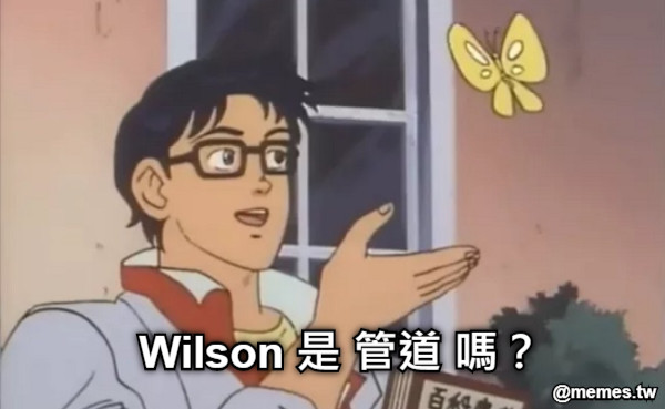 Wilson 是 管道 嗎？