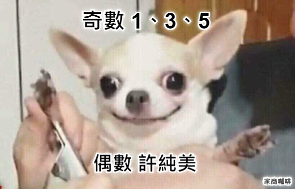 奇數 1、3、5 偶數 許純美 家商咖啡