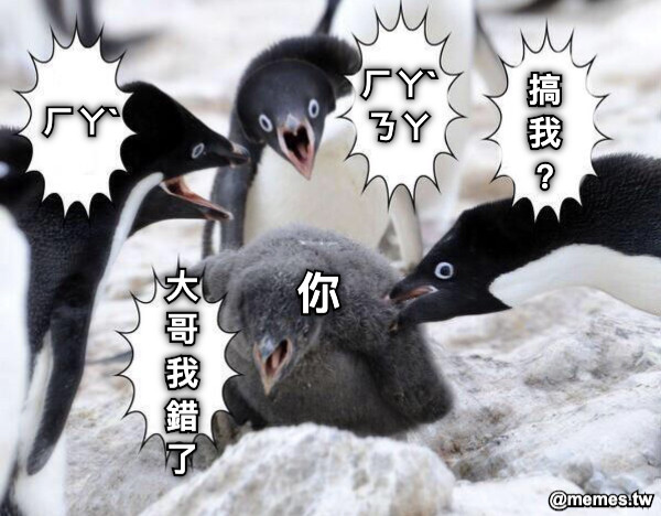 ㄏㄚˋ ㄏㄚˋ ㄋㄚ 搞 我 ？ 你 大 哥 我 錯 了
