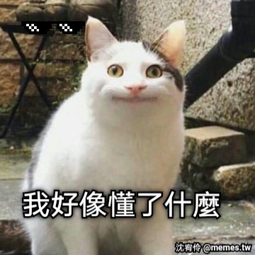 我好像懂了什麼