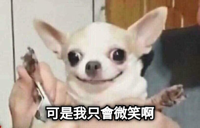 可是我只會微笑啊