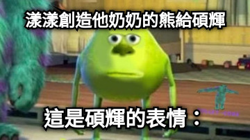 漾漾創造他奶奶的熊給碩輝 這是碩輝的表情：