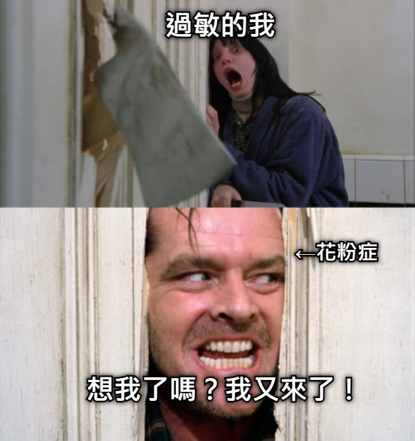過敏的我 想我了嗎？我又來了！ ←花粉症