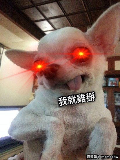 我就雞掰