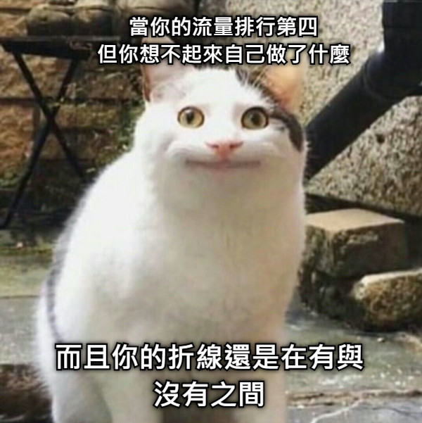 當你的流量排行第四 但你想不起來自己做了什麼 而且你的折線還是在有與沒有之間