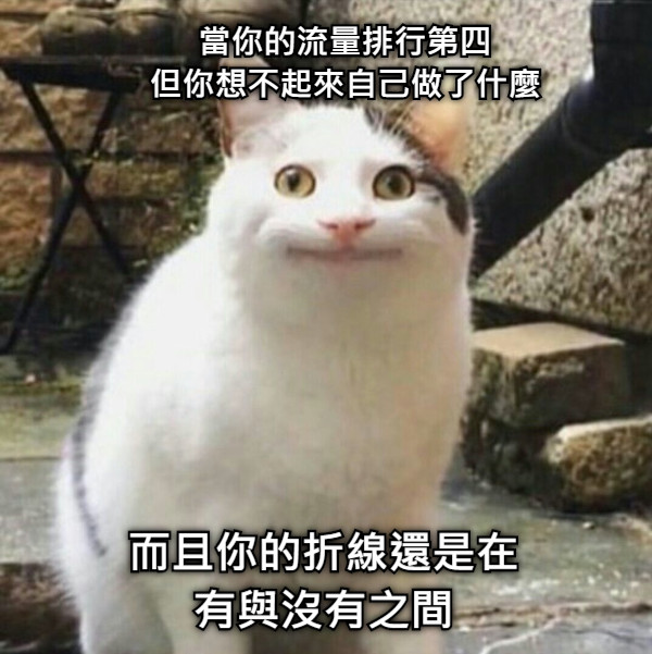 當你的流量排行第四 但你想不起來自己做了什麼 而且你的折線還是在 有與沒有之間