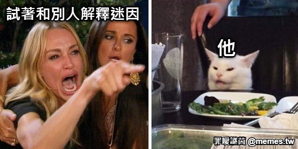 試著和別人解釋迷因 他