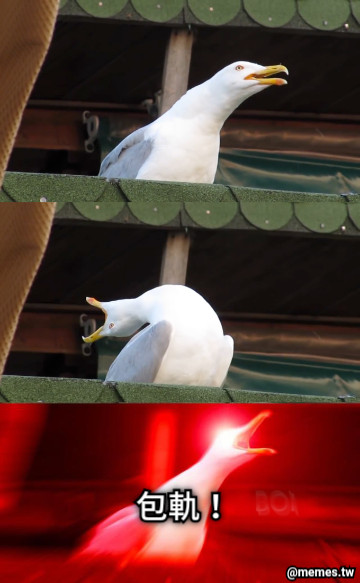 包軌！