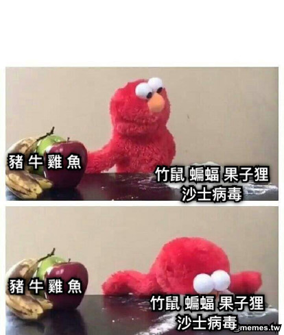 豬 牛 雞 魚 竹鼠 蝙蝠 果子狸 沙士病毒 豬 牛 雞 魚 竹鼠 蝙蝠 果子狸 沙士病毒