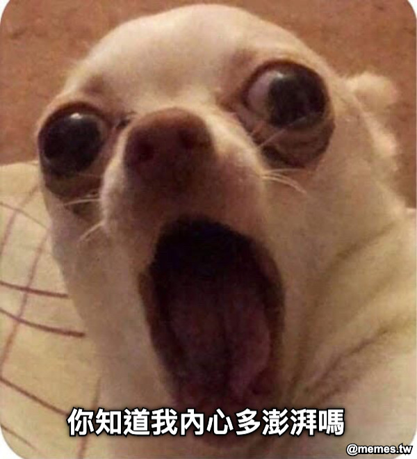你知道我內心多澎湃嗎