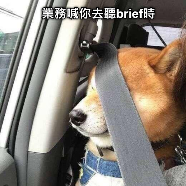 業務喊你去聽brief時