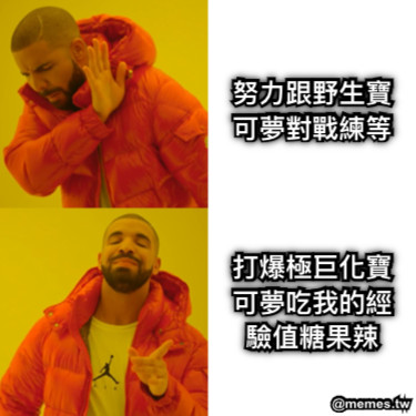 努力跟野生寶可夢對戰練等    打爆極巨化寶可夢吃我的經驗值糖果辣