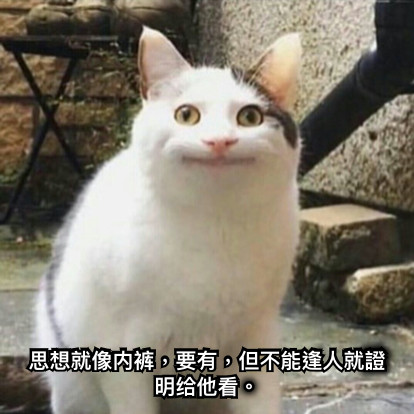 思想就像内裤，要有，但不能逢人就證明给他看。