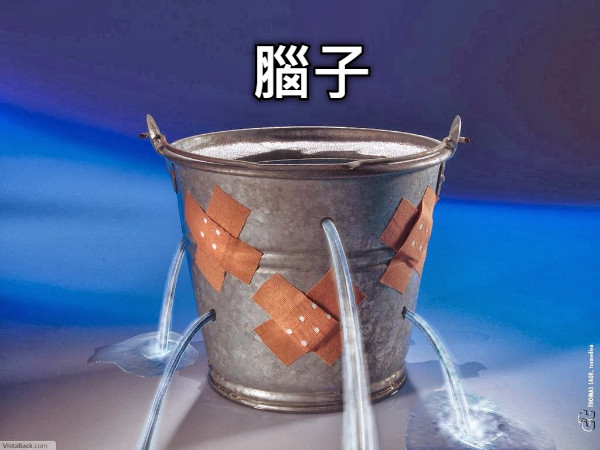 腦子