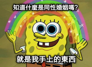 知道什麼是同性婚姻嗎？ 就是我手上的東西