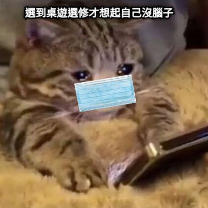 選到桌遊選修才想起自己沒腦子
