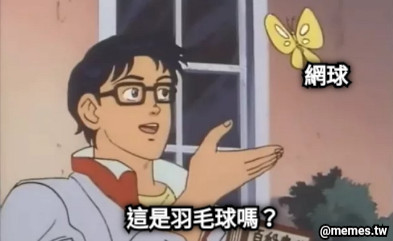 網球 這是羽毛球嗎？
