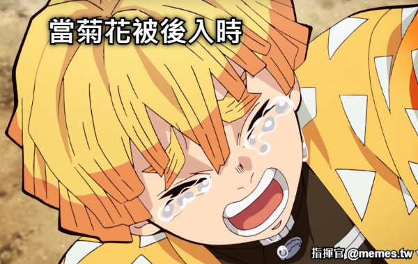 當菊花被後入時