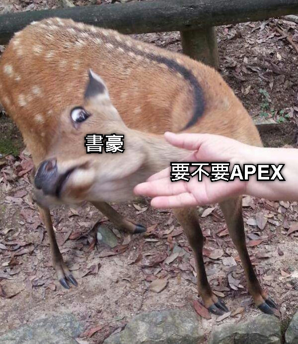 要不要APEX 書豪