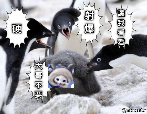 硬 射 爆 讓 我 看 看 大 哥 不 要