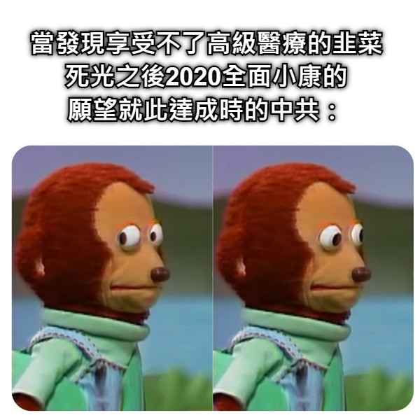 當發現享受不了高級醫療的韭菜死光之後2020全面小康的 願望就此達成時的中共：