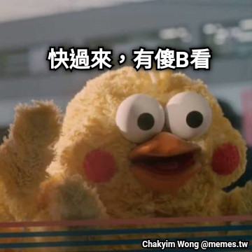 快過來，有傻B看
