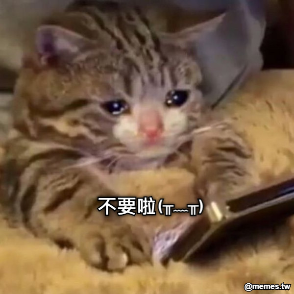 不要啦 (╥﹏╥)