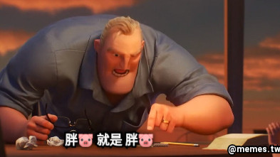 胖🐷 就是 胖🐷