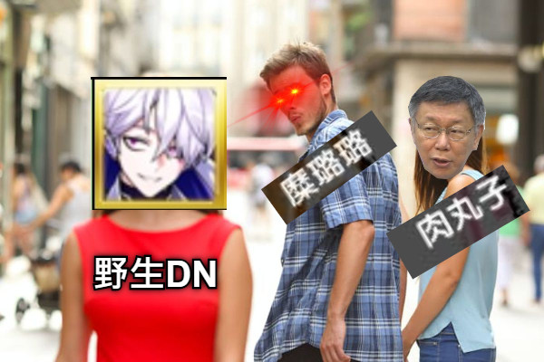 野生DN