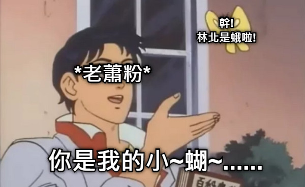*老蕭粉* 你是我的小~蝴~...... 幹! 林北是蛾啦!