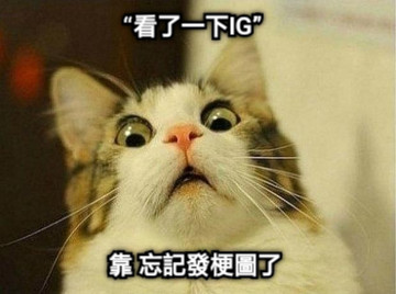 “看了一下IG” 靠 忘記發梗圖了