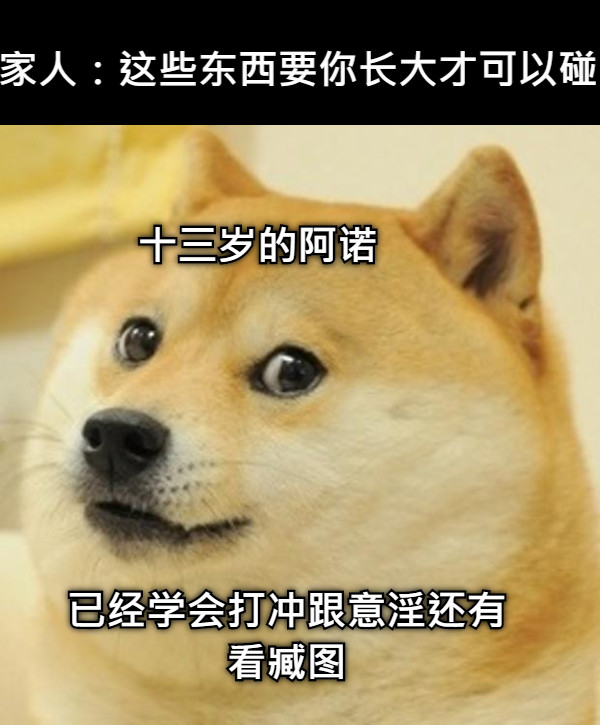 家人：这些东西要你长大才可以碰！ 已经学会打冲跟意淫还有看臧图 十三岁的阿诺