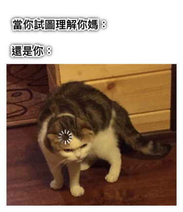 當你試圖理解你媽： 還是你：