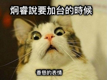 炯睿說要加台的時候 香慈的表情