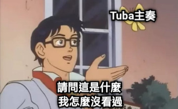 請問這是什麼  我怎麼沒看過 Tuba主奏