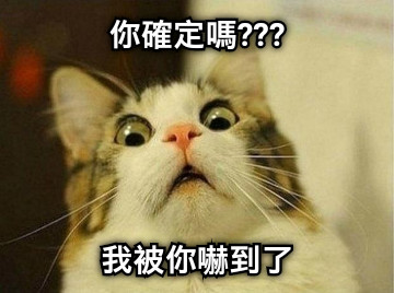 你確定嗎??? 我被你嚇到了
