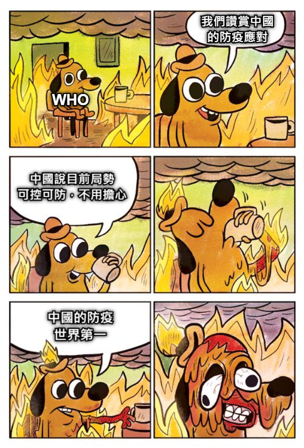 WHO 我們讚賞中國 的防疫應對 中國說目前局勢 可控可防，不用擔心 中國的防疫 世界第一