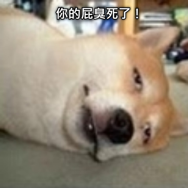 你的屁臭死了！