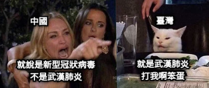 就說是新型冠狀病毒 不是武漢肺炎 中國 臺灣 就是武漢肺炎 打我啊笨蛋