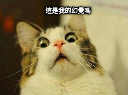 這是我的幻覺嗎