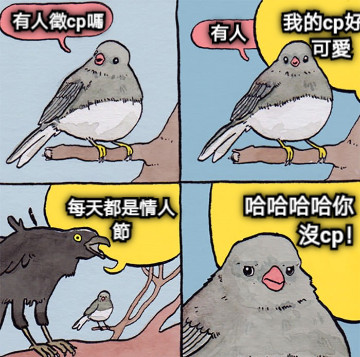 有人徵cp嗎 有人 我的cp好    可愛 每天都是情人 節 哈哈哈哈你             沒cp！