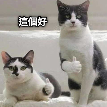 這個好