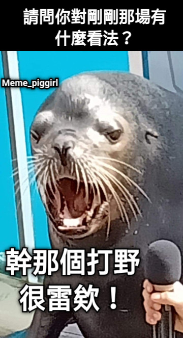 請問你對剛剛那場有什麼看法？ 幹那個打野很雷欸！ Meme_piggirl