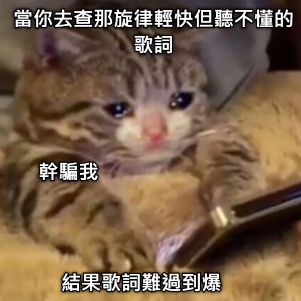 當你去查那旋律輕快但聽不懂的歌詞 結果歌詞難過到爆 幹騙我