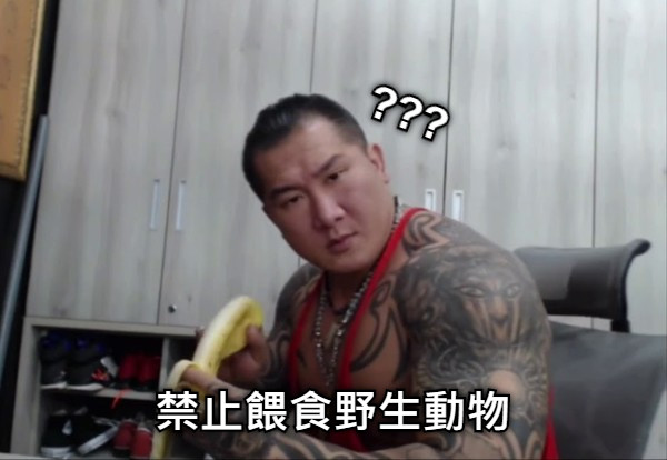 禁止餵食野生動物 ???