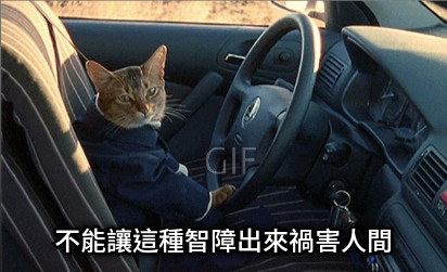 不能讓這種智障出來禍害人間